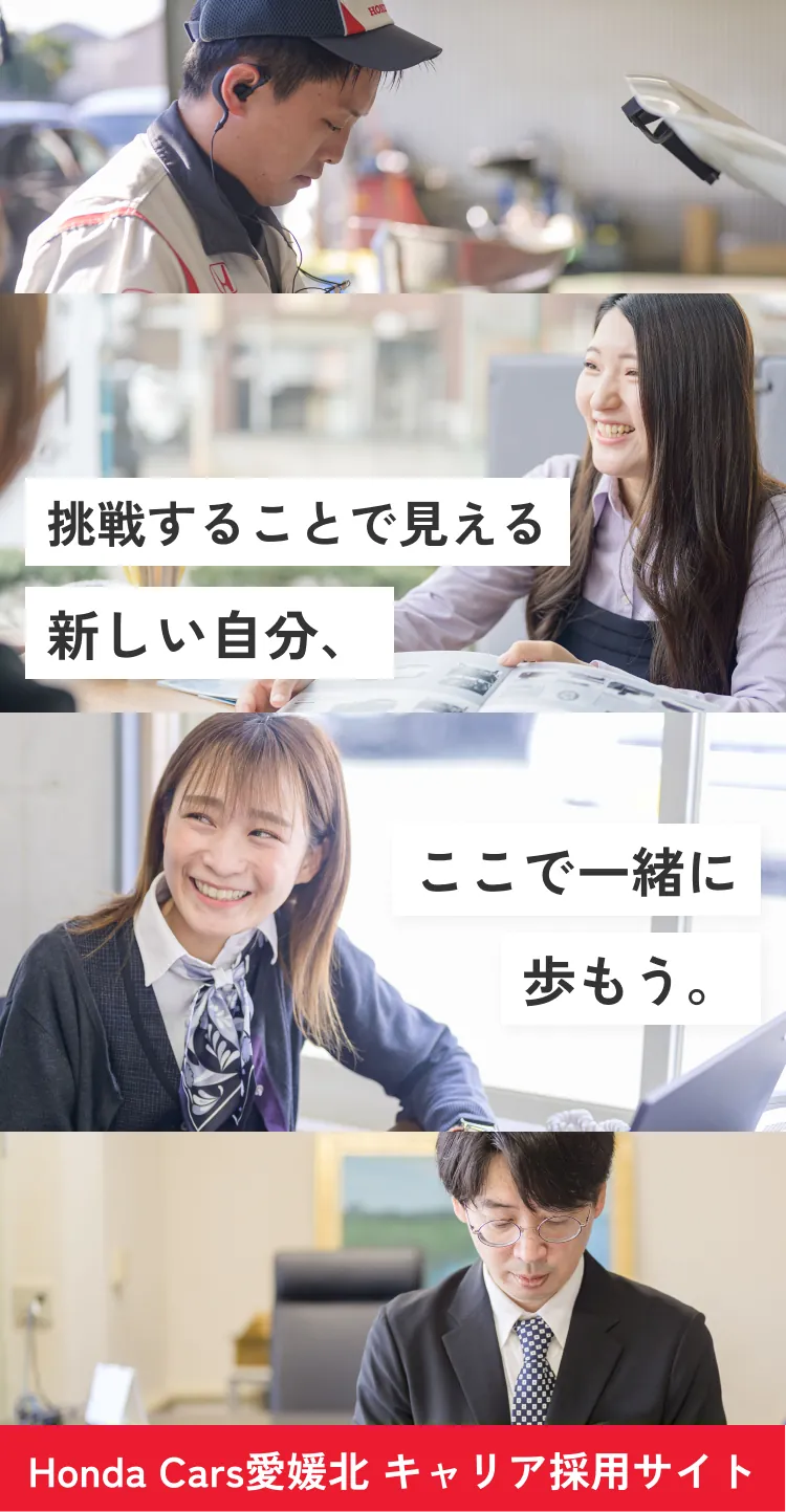 キャリア採用サイト ファーストビュー